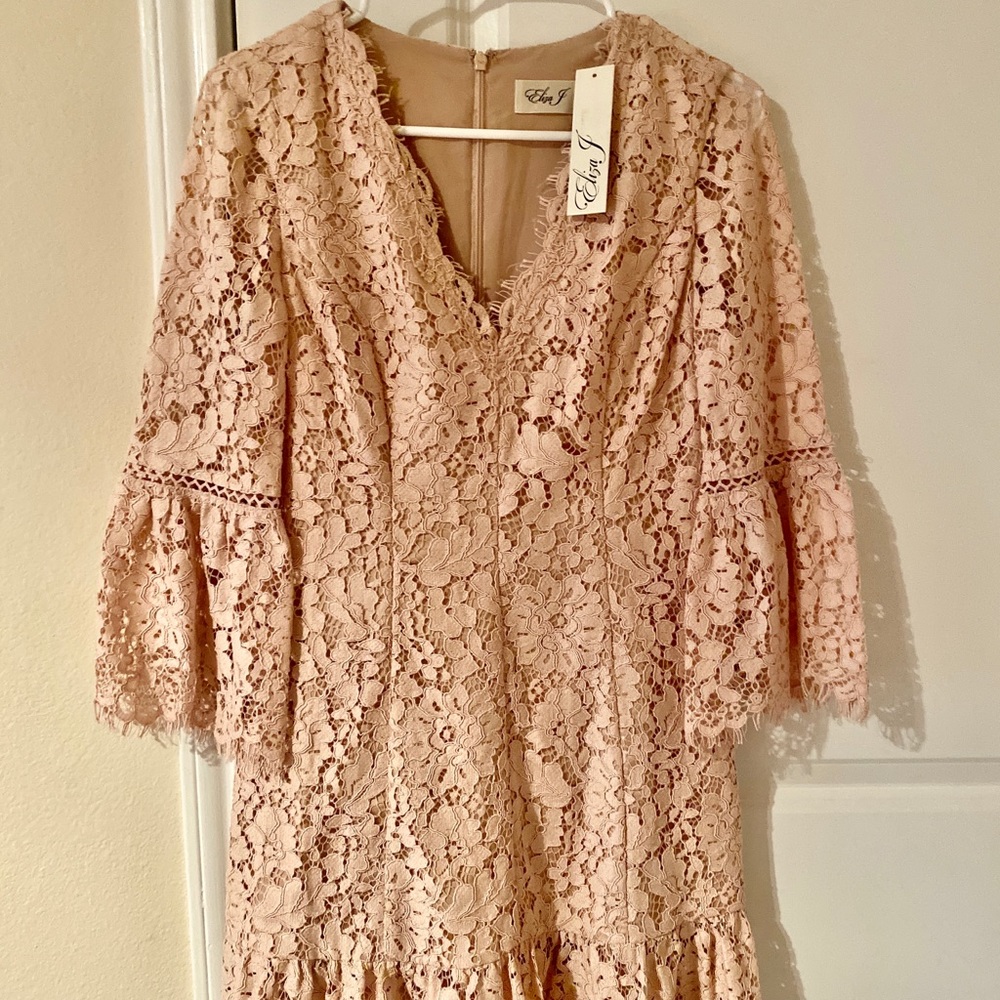 NEW! Eliza J flare soft pink lace dress